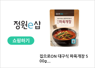 집으로ON 대구식 파육개장 500g