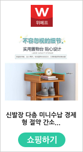 신발장 다층 미니수납 경제형 절약 간소