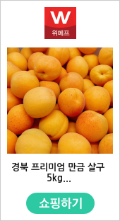 경북 프리미엄 만금 살구 5kg