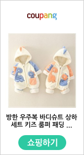 방한 우주복 바디슈트 상하세트 키즈 룸퍼 패딩 캐주얼 털 두꺼운 기모 유아동 귀여운 동물 케릭터 겨울 아기 옷