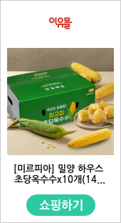[미르피아] 밀양 하우스 초당옥수수x10개(14cm이상)  