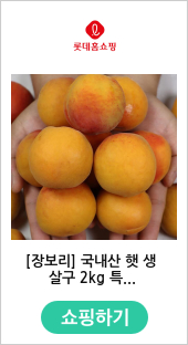 [장보리] 국내산 햇 생 살구 2kg 특