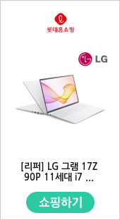 LG 그램 17Z90P 11세대 i7 16G SSD256G Win10 17인치 노트북