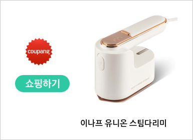 이나프 유니온 스팀다리미