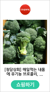 [청담상회] 매일먹는 내몸에 유기농 브로콜리, 1kg, 1박스 - 브로콜리
