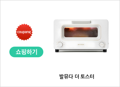 발뮤다 더 토스터