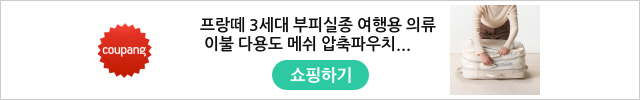 프랑떼 3세대 부피실종 여행용 의류 이불 다용도 메쉬 압축파우치 - 여행가방/소품