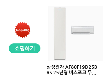 삼성전자 AF80F19D25BRS 25년형 비스포크 무풍 콤보 갤러리 청정 2in1 멀티형 에어컨18.9평+5.6평 기본설치비 배송비 포함 실외기포함