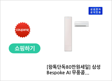 [왕톡단독80만원세일] 삼성 Bespoke AI 무풍콤보 갤러리 에어컨 홈멀티형 [AF80F19D24CRT] (19+6형)