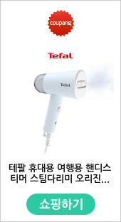 테팔 휴대용 여행용 핸디스티머 스팀다리미 오리진 트래블 DT1024