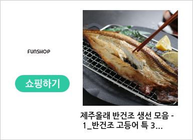 제주올래 반건조 생선 모음 - 1_반건조 고등어 특 3미/900g 