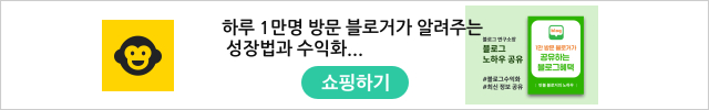 하루 1만명 방문 블로거가 알려주는 성장법과 수익화