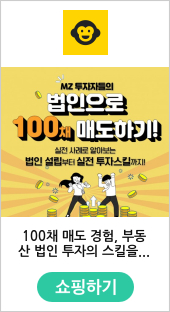100채 매도 경험, 부동산 법인 투자 스킬