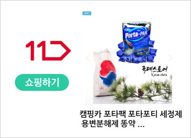 캠핑카 포타팩 포타포티 세정제 용변분해제 똥약