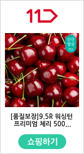 [품질보장]9.5R 워싱턴 프리미엄 체리 500G(2세트 구매시 100g추가) 
