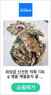 최상급 신선한 석화 10kg 생굴 제철음식 굴 고성 통영 석굴 갓굴