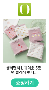 생리팬티 L 귀여운 5종 면 클래식 팬티