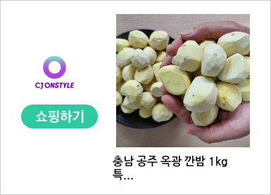 충남 공주 옥광 깐밤 1kg 특