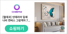 [월데코] 인테리어 입체 나비 캔버스 그림액자 70cm 70cm