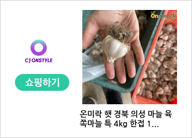🌱 마늘, 작은 알 속에 담긴 큰 힘