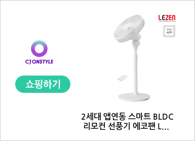 2세대 앱연동 스마트 BLDC 리모컨 선풍기 에코팬 LZEF-DC130