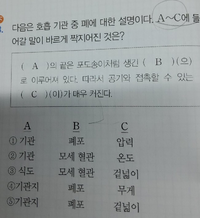 질문사진