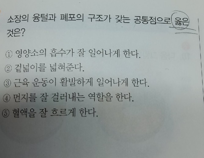 질문사진
