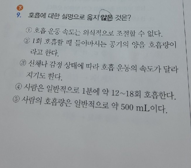 질문사진