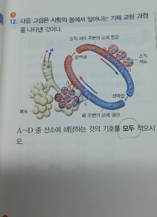 질문사진