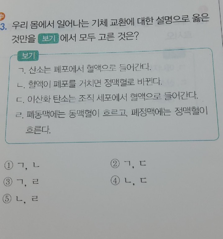 질문사진