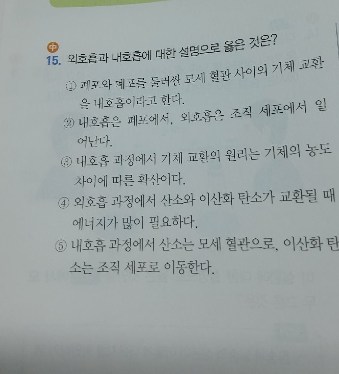 질문사진