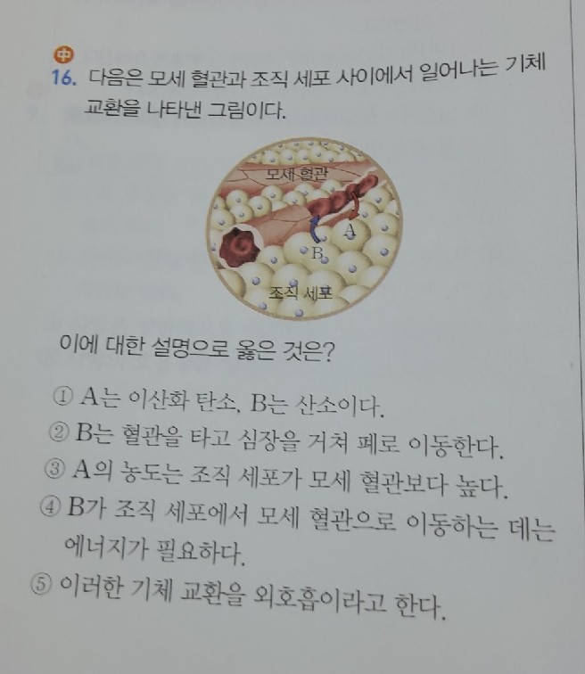 질문사진