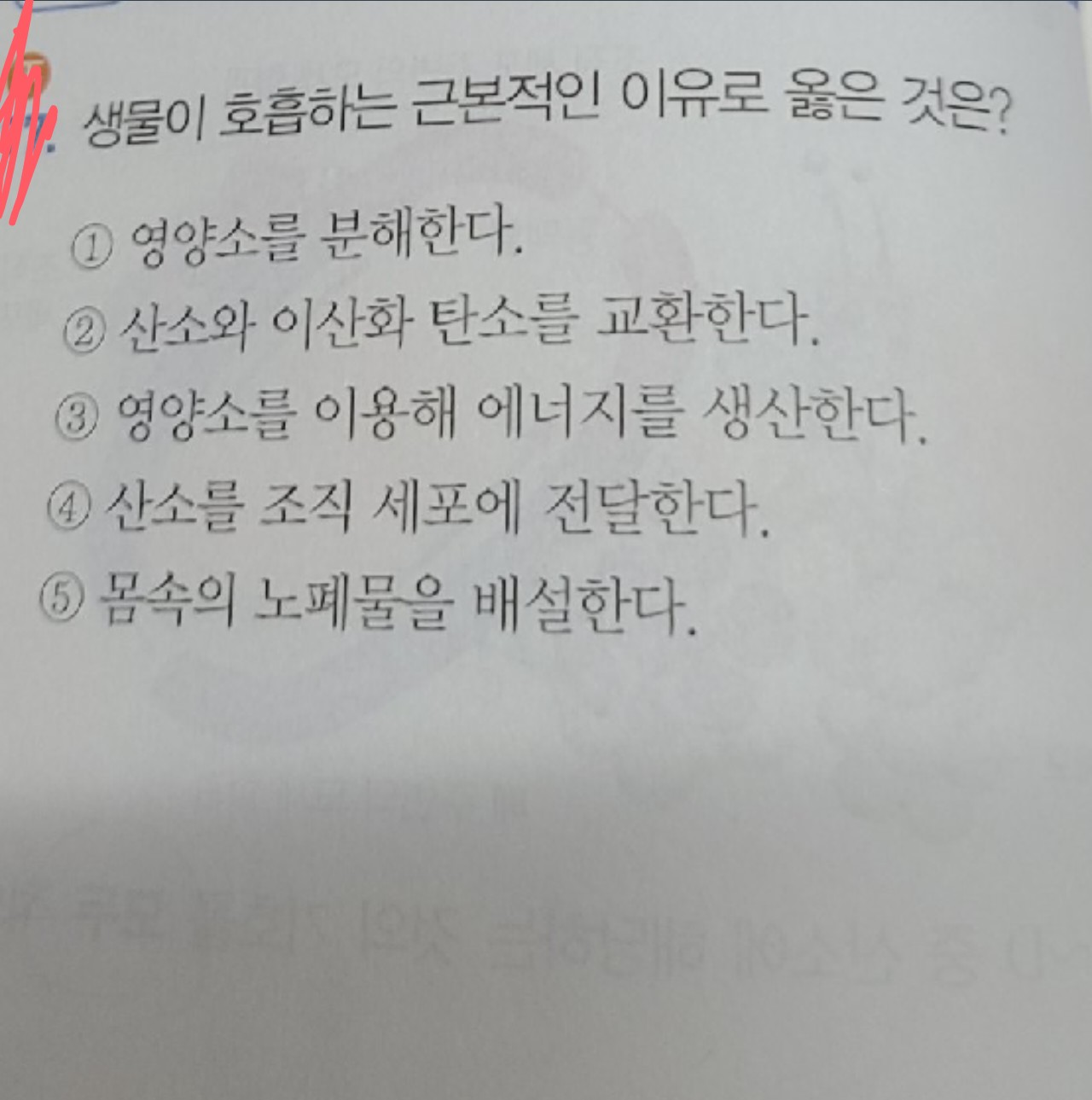 질문사진