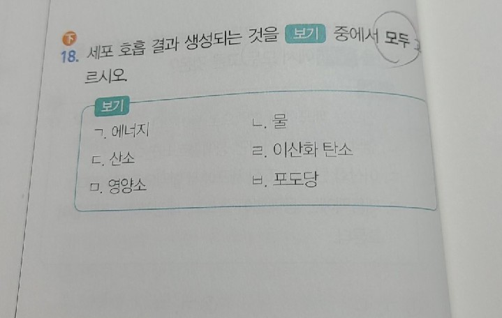 질문사진