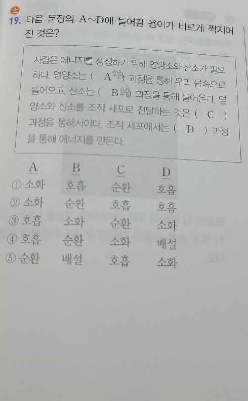 질문사진