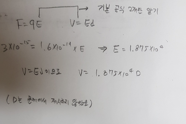 과학 물리2 전하와 자기장 오누이 과학 물리2 전하와 자기장 오누이
