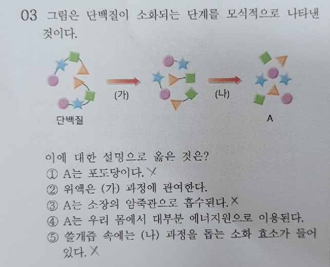 질문사진