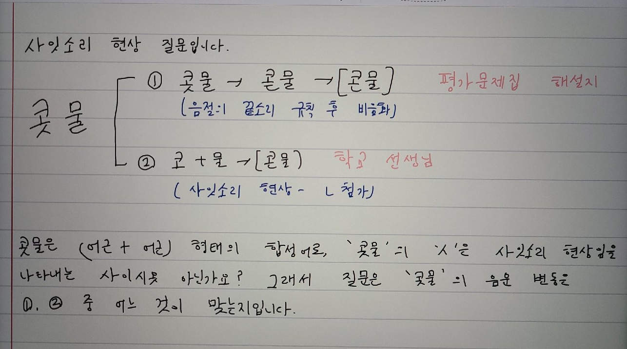 질문사진