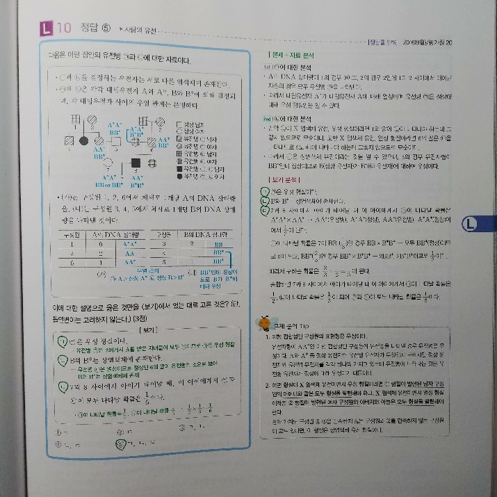 질문사진