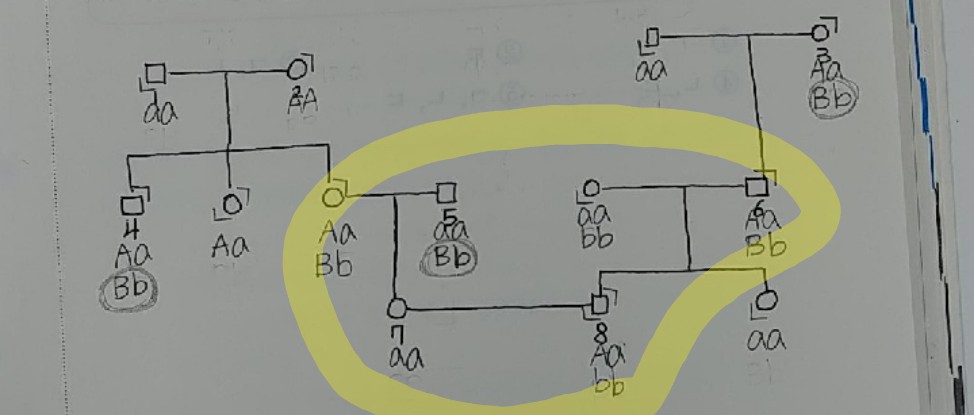 질문사진