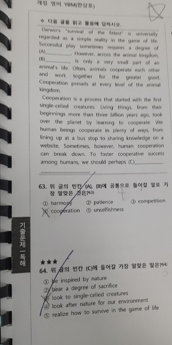 질문사진