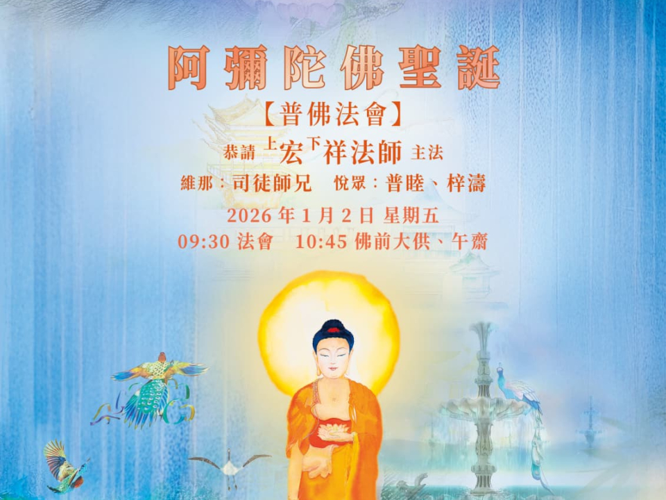 2026年1月和2月系列