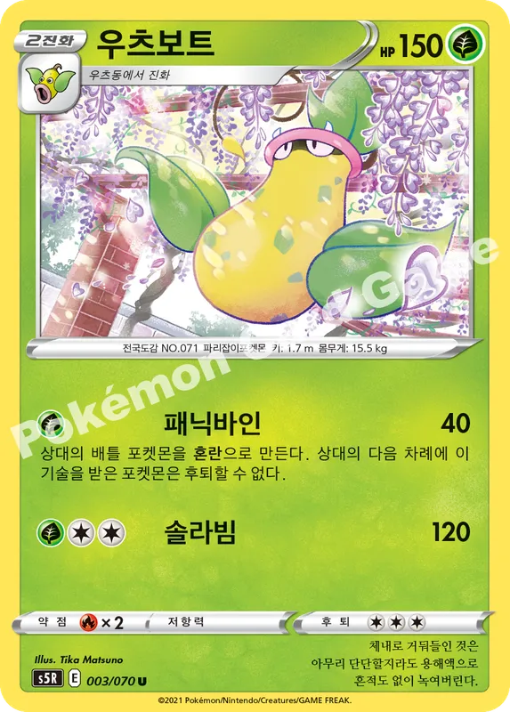 우츠보트
