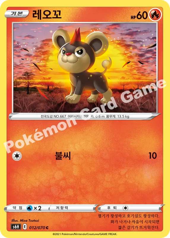 레오꼬
