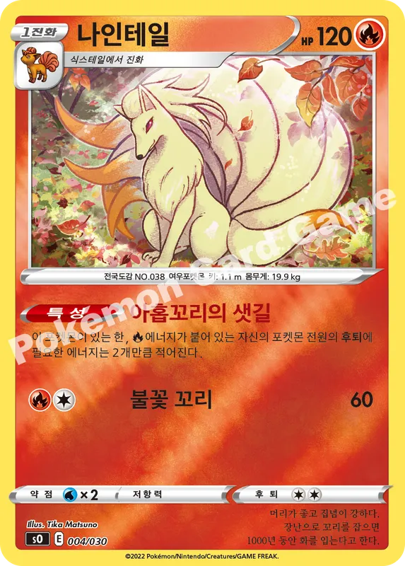 나인테일