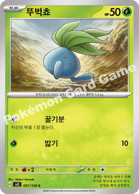 뚜벅쵸
