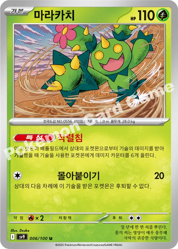 마라카치