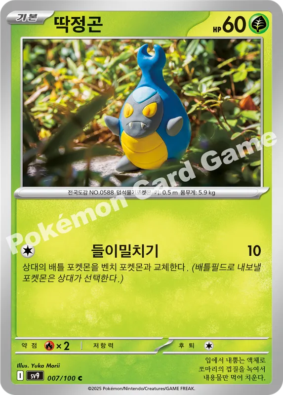딱정곤