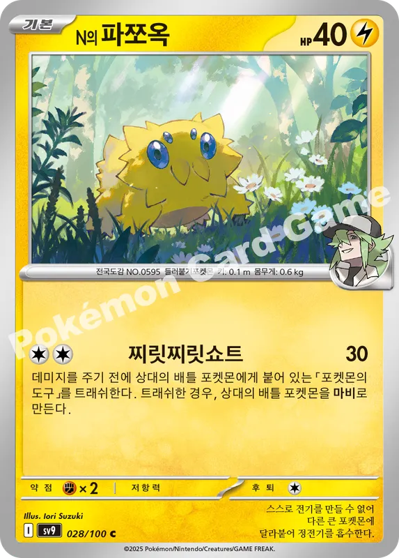 N의 파쪼옥