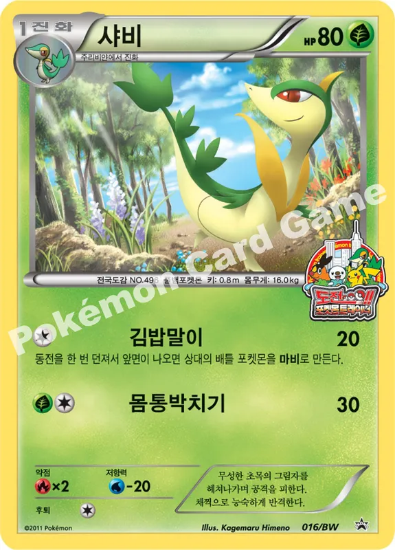샤비